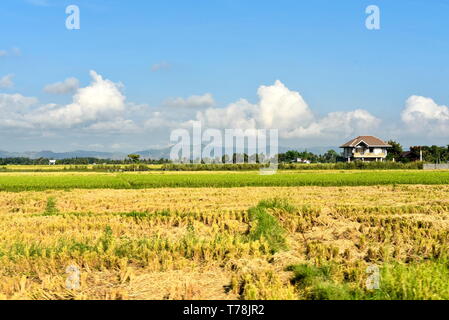 Around the Santiago City, Isabela, Philippines, Santiago City ...