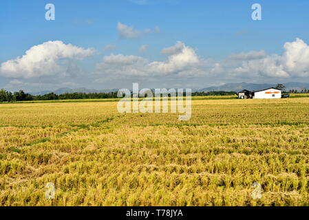 Around the Santiago City, Isabela, Philippines, Santiago City ...