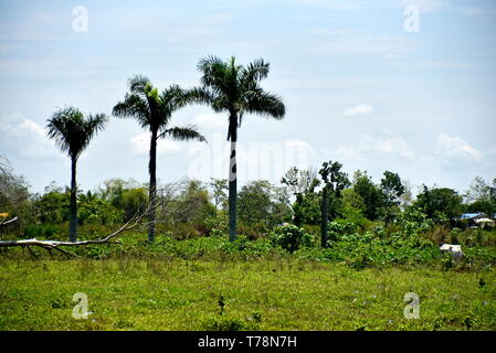 Around the Santiago City, Isabela, Philippines, Santiago City ...