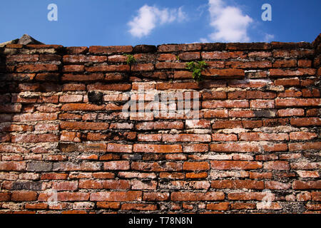 Close up of isolated ancient brick walls with blue sky in Ayutthaya near Bangkok, Thailand Stock Photo