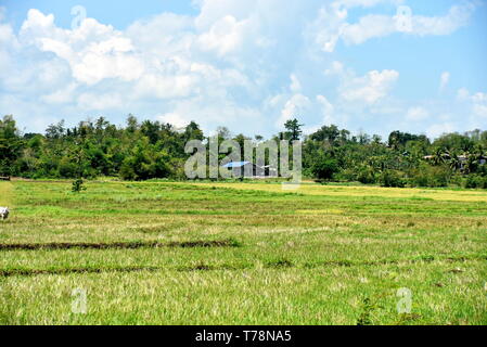 Around the Santiago City, Isabela, Philippines, Santiago City ...