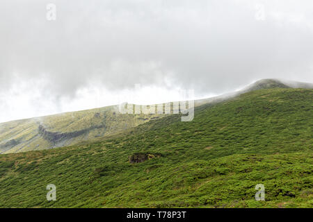 Misty green hill on Flores island in the Azores. Stock Photo