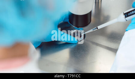 Woman scientist working with pipette in laboratory Stock Photo