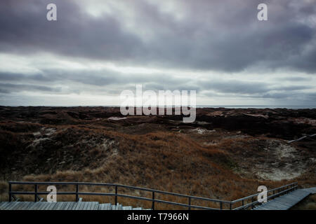 Wooden path with stairs or boardwalk leading through dunes landscape on Amrum, North Frisian Islands, Schleswig-Holstein, Germany on a cloudy day Stock Photo