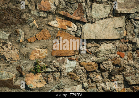 Old wall made of rough stones forming a singular background at the Marvao Castle. A medieval hamlet perched on a crag in Portugal. Stock Photo