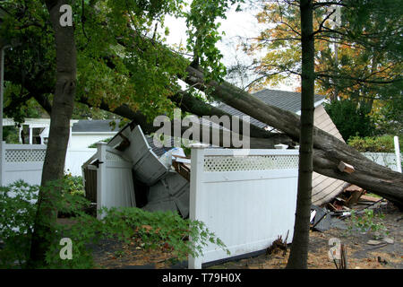 A house in Babylon Village, NY has a tree fall on it's garage during Super Storm Sandy Stock Photo