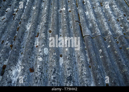 A heavily aged and weathered asbestos cement corrugated roofing Stock Photo