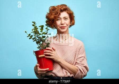 positive nice woman in fashionable clothes has grown the flower. isolated blue background, studio shot. copy space . flower care Stock Photo