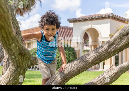 A young boy looks at the camera as he climbs the tree. The happy toddler enjoys climbing the small trees at the community park. Stock Photo