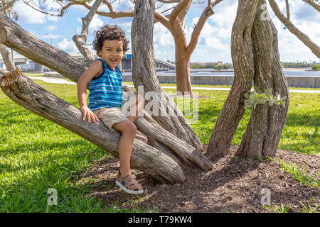 The toddler rests on the tree trunk smiling at the camera. A small boy sits on the base of a curved tree trunk holding on as his dangles. Stock Photo
