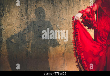 Shadow of woman dressed in flamenco dress on cracked wall, focus on wall shadow and out of focus dress Stock Photo