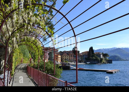 Beautiful red iron archway 'Walk of Lovers' along Varenna lakefront with climbing wisteria flowers on it in a springtime sunny day. Stock Photo