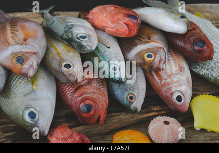 Group of colorful sea fishes arranging on wooden plate in grey tone color applied. Stock Photo