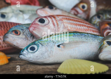 Group of colorful sea fishes arranging on wooden plate in grey tone color applied. Stock Photo