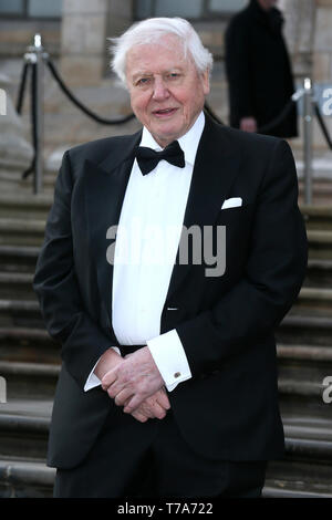 The Global Premiere of 'Our Planet' held at The Natural History Museum - Arrivals  Featuring: Sir David Attenborough Where: London, United Kingdom When: 04 Apr 2019 Credit: Mario Mitsis/WENN.com Stock Photo