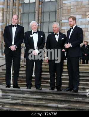 The Global Premiere of 'Our Planet' held at The Natural History Museum - Arrivals  Featuring: HRH The Duke Of Cambridge, William, HRH The Duke Of Sussex, Harry, HRH The Prince Of Wales, Charles, Sir David Attenborough Where: London, United Kingdom When: 04 Apr 2019 Credit: Mario Mitsis/WENN.com Stock Photo