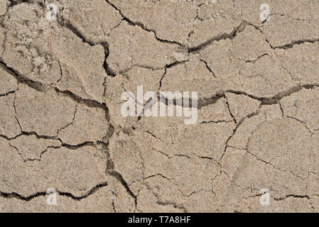 cracked sandy soil background  texture Stock Photo
