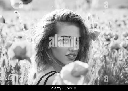 beautiful woman on poppy field with long hair Stock Photo