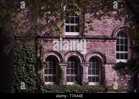 Old building facade made of brick with arch windows and ivy corner seen through trees branches frame Stock Photo