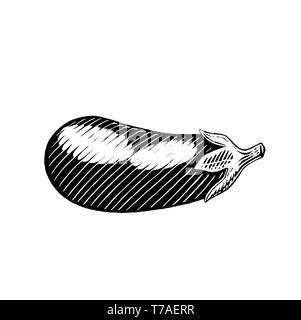 Vector Illustration of a Scratchboard Style Ink Drawing of an Eggplant Stock Photo
