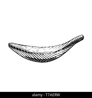 Vector Illustration of a Scratchboard Style Ink Drawing of a Banana Stock Photo