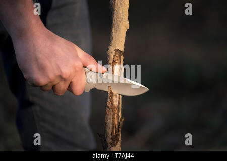 Man's hand carving a stick while on a survival adventure in the forest. Stock Photo