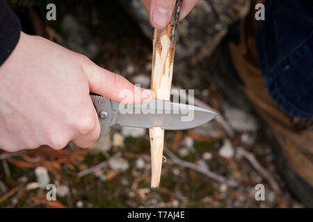 Man's hand sharpening a wood stick with a stainles steel folding knife in the forest. Stock Photo