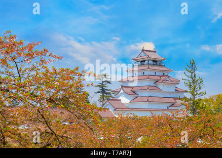 Aizuwakamatsu Castle and cherry blossom in Fukushima, Japan Aizuwakamatsu , Japan - April 21 2018: Aizu-Wakamatsu Castle and cherry blossom built by A Stock Photo