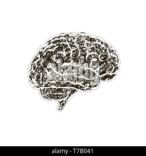 Human brain with messy doodle hatching, stress concept on white Stock Vector
