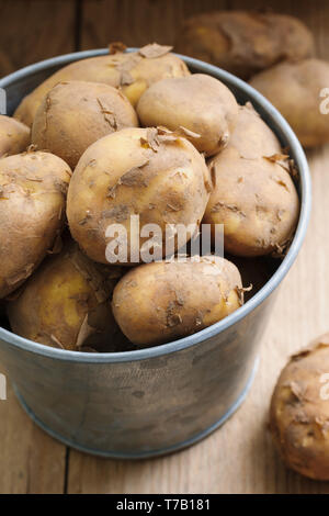 jersey royal potatoes season