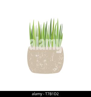 Fresh green grass in a rectangular and round pot. Element of home decor. The symbol of growth and ecology. Stock Vector
