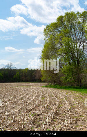 Open field in rural Illinois on a Spring afternoon Stock Photo - Alamy