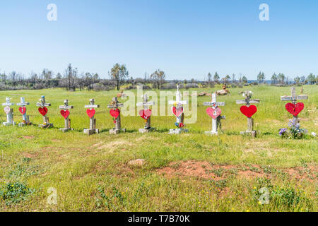 86 crosses were planted to memorialize the victims of the Camp Fire disaster in Paradise, California. The crosses were the idea of Greg Zanis, from Ch Stock Photo