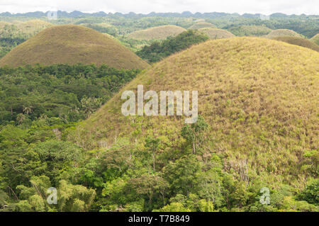 Chocolate Hills, Bohol, Visayas, Philippines, South East Asia, Asia Stock Photo