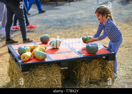 Collector, Australian capital Canberra. 5th May, 2019. A girl plays Tic-Tac-Toe with pumpkins on Pumpkin Festival in Collector, half an hour's drive from Australian capital Canberra, on May 5, 2019. The Collector Village Pumpkin Festival, falling on the first Sunday in May, is in its 16th year. The Collector Village which was normally tranquil was transformed into an amusement park on Sunday, attracting visitors from big cities to slow down and enjoy idyllic life. Credit: Pan Xiangyue/Xinhua/Alamy Live News Stock Photo