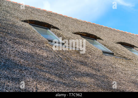Reed roof of an house in an ancient village. Traditional thatched roof from reed, sunny day. Roof made of natural reeds Stock Photo