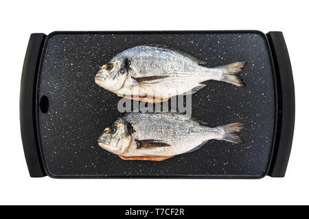 Sea bream fish on stone grill ready to be cooked isolated on white background. Stock Photo