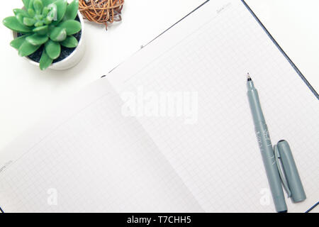 Flat lay, top view office table desk with opened notebook, sketchbook, succulent on white background. Freelancer working place. copyspace. Stock Photo