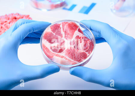 Raw meat sample in laboratory Petri dish. Cultured lab grown meat or meat examination concept. Stock Photo