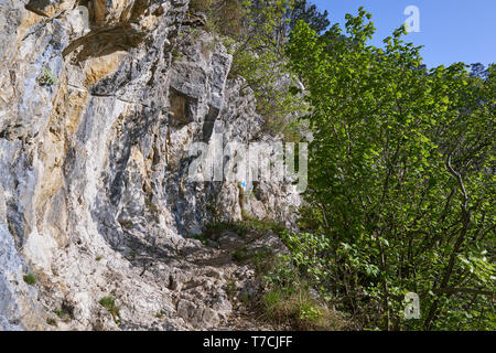 A hiking trail going through various deciduous forests on the mountain Stock Photo