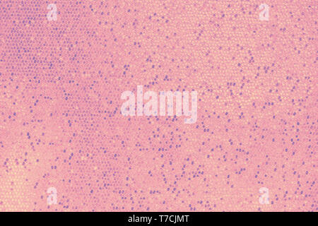 Abstract shiny tredny pastel colored scales background texture Stock Photo
