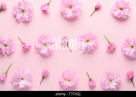 Cute sakura flowers pattern on pastel pink background. Floral pattern with buds flat lay top view. Stock Photo
