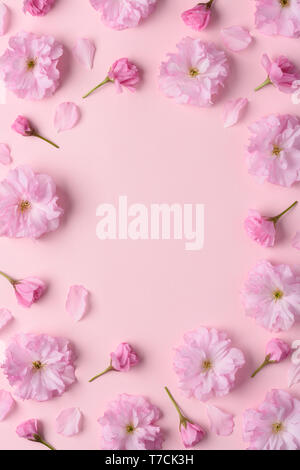 Floral flower sakura pattern frame composition with copy space in center flat lay top view Stock Photo