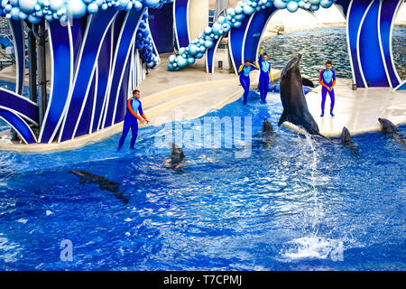 Orlando, Florida. December 25, 2018 . Dolphin jumping in colorful Dolphin Day show; It is a festive celebration of our natural world at Seaworld. Stock Photo