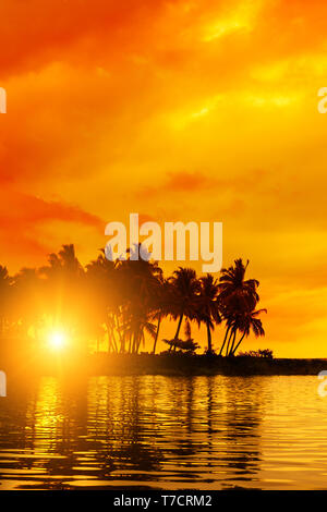 Tropical sunset on remote island. Beach sunset with coconut palm trees reflection in ocean lagoon. Stock Photo