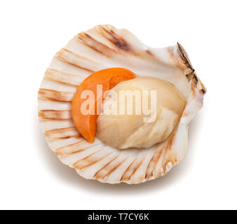 fresh shell scallop isolated on white background Stock Photo