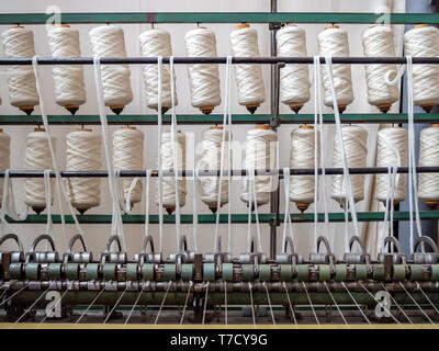 Row of reels with cotton threads ready for the processing on the cotton mill Stock Photo