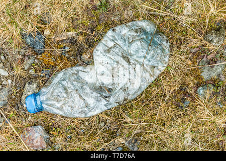 Plastic water bottle left on forest floor in a remote location Stock Photo