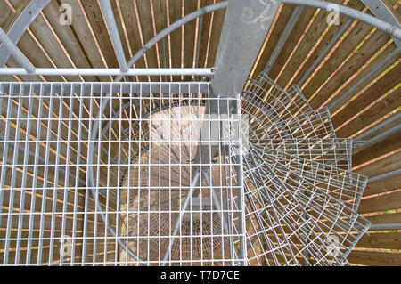 Round stairs to the second floor made of steel net. Stock Photo