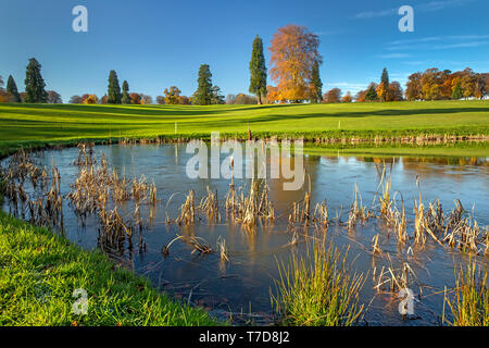 Rushmore Park Golf Club in Autumn.  Wiltshire UK. Stock Photo